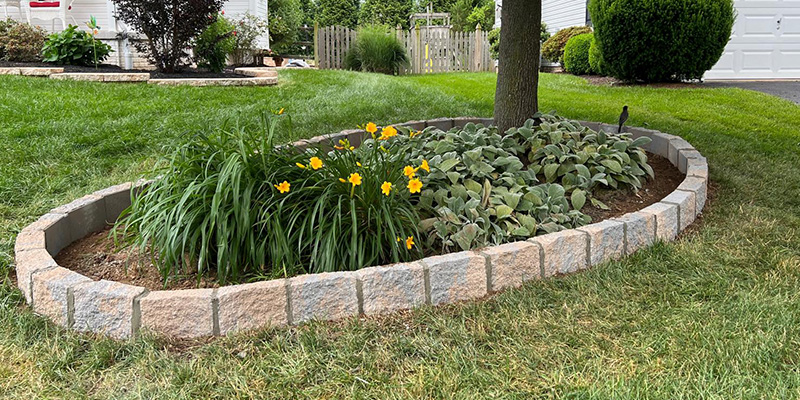 Imagem do WhatsApp de 2025-11-12 à(s) 17.09.28_a824b831slider