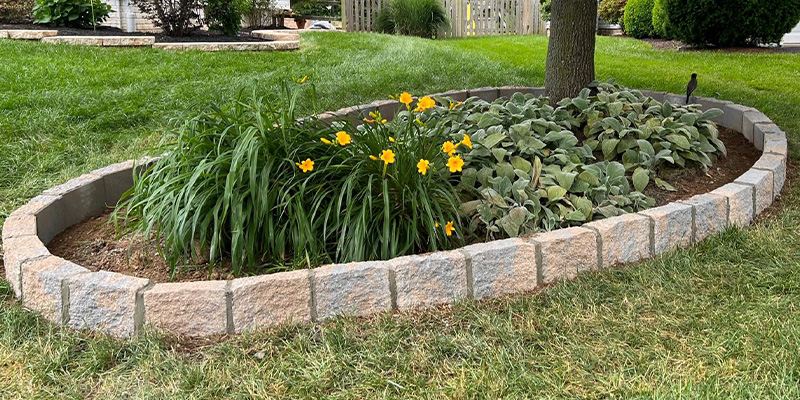 Imagem do WhatsApp de 2025-11-12 à(s) 17.09.28_cbb1f88bslider